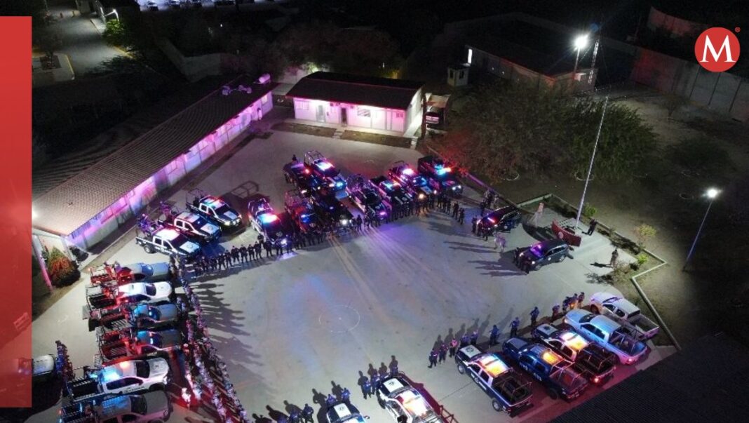 autoridades-aseguraron-mochila-contenia-pequenos-1