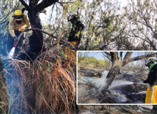 Combaten incendio forestal en comunidad San Gerardo en Mina