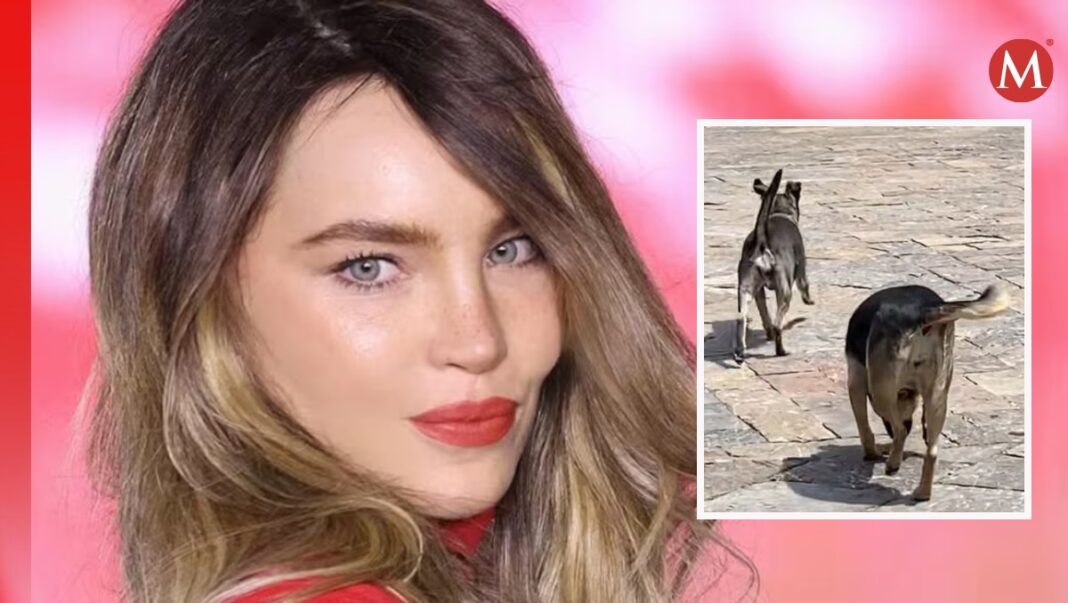 gesto-belinda-captado-video-tiktok-1