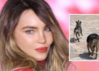 Belinda y su tierno gesto con perritos callejeros durante grabación