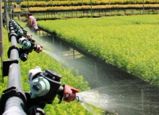 Guanajuato prevé alza en producción por tecnificación del riego