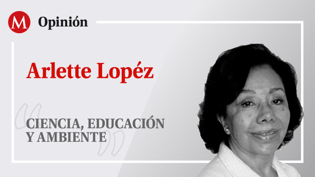 imagen-firma-arlette-lopez