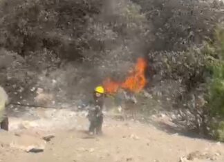 Incendios forestales han devorado 400 hectáreas en Hidalgo