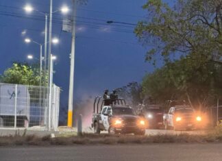 Enfrentamiento armado deja delincuente abatido en Allende