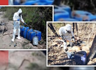 Desmantelan 12 narcolaboratorios en Sinaloa en solo tres municipios