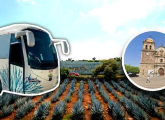 Cómo llegar a Tequila, Jalisco en camión. Precios y rutas- Grupo Milenio