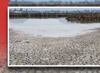 Guanajuato registra sequía en municipios por falta de lluvias