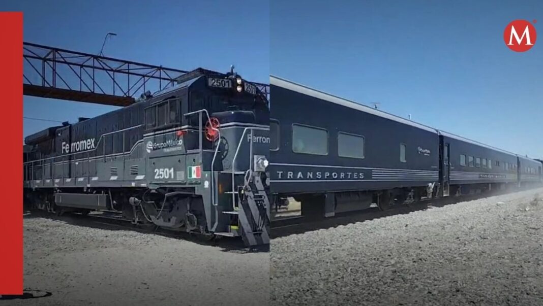 tren-pasajeros-cruzando-san-pedro-1