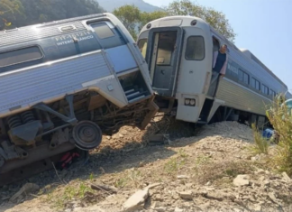 Descarrilan y matan omisiones técnicas