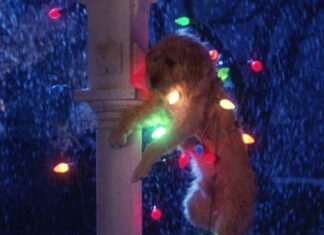 Hoy en streaming, el cuento de Navidad más gamberro de los 80. Todo un clásico del cine familiar que sigue siendo irresistible