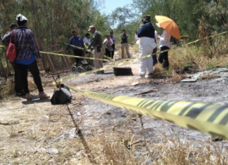 Colectivos hallan 52 fosas clandestinas en Tamaulipas en un año