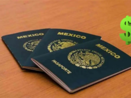 Pasaporte 2026: ¿Cuánto cuesta y quiénes tienen descuento en el trámite?