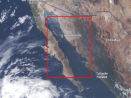 Diputado llama a reconocer ya al Golfo de California como territorio mexicano