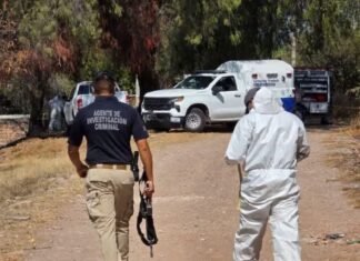 Sube a 43 el número de cuerpos hallados en fosa de Guanajuato: encuentran material del Cártel de Santa Rosa de Lima