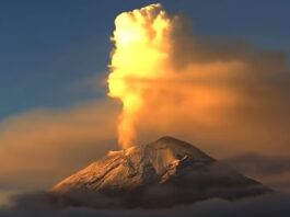 Popocatépetl registró 6 exhalaciones en las últimas 24 horas