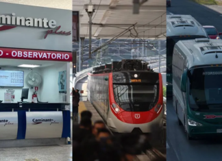 Transportistas estiman pérdidas económicas de hasta 65% tras apertura total del Tren Interurbano