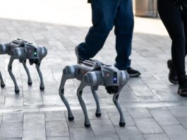 Perros robots reforzarán la seguridad durante los partidos del Mundial en Nuevo León