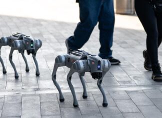 Perros robots reforzarán la seguridad durante los partidos del Mundial en Nuevo León
