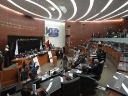 Se aprueba: Plan B supera primer filtro en el Senado con votación dividida