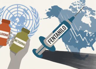 Estrategia de Sheinbaum está funcionando: ONU destaca disminución de muertes en Norteamérica por sobredosis de fentanilo