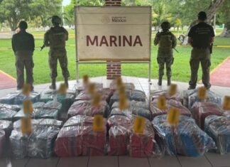 Marina asegura 259 millones de pesos en cocaína dentro de un buque mercante en el puerto de Lázaro Cárdenas, Michoacán