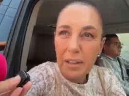 Sheinbaum anuncia que en dos semanas se liberarán moscas estériles para combatir al gusano barrenador