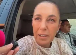 Sheinbaum anuncia que en dos semanas se liberarán moscas estériles para combatir al gusano barrenador