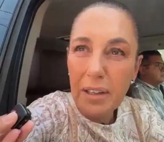 Sheinbaum anuncia que en dos semanas se liberarán moscas estériles para combatir al gusano barrenador